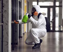 Best Mold Remediation for Healthcare Facilities  in Clearwater, FL